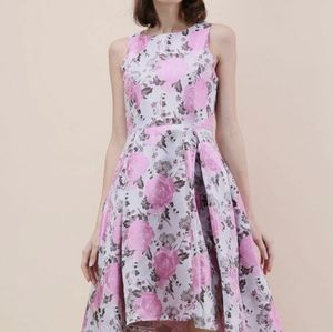 New Chicwish Roseate Brocade Waterfall Dress